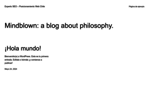 Expertoseo.cl thumbnail
