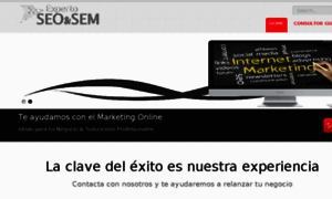 Expertoseosem.com thumbnail