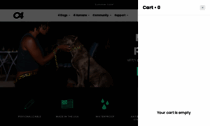 Explorec4.com thumbnail