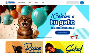 Fanaticosdelasmascotas.cl thumbnail