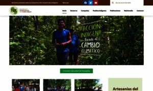 Fapi.org.py thumbnail