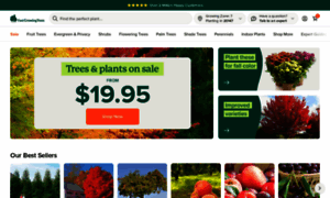 Fast-growing-trees.com thumbnail