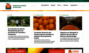 Fecier.org.ar thumbnail