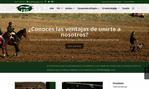 Fedegalgos.com thumbnail