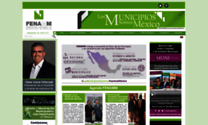 Fenamm.org.mx thumbnail