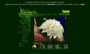 Fernandofloristas.com thumbnail