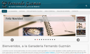 Fernandoguzman.info thumbnail