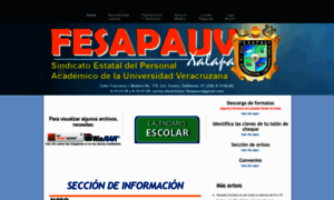 Fesapauvxalapa.org thumbnail