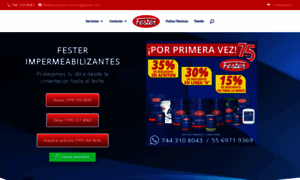 Festeracapulco.com thumbnail