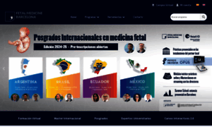 Fetalmedicinebarcelona.org thumbnail
