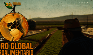 Fga.org.mx thumbnail