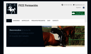 Ficeformacion.com thumbnail