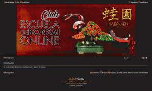 Ficusbonsaiclub.com thumbnail