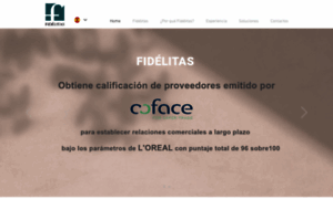 Fidelitascredit.com thumbnail