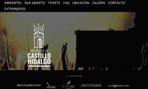 Fiestacastillohidalgo.cl thumbnail