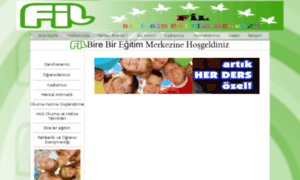 Filbirebiregitim.com thumbnail