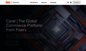 Firstdata.com thumbnail