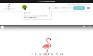 Flamingocancun.com thumbnail