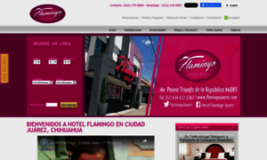 Flamingojuarez.com thumbnail