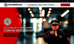 Flashseguridadltda.com thumbnail