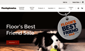 Floordesignsflooringamerica.com thumbnail
