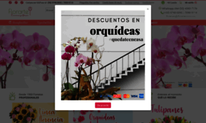 Florarte.com.mx thumbnail