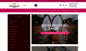 Flordelis.co.cr thumbnail