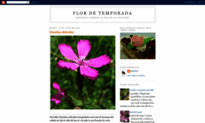 Flordeltiempo.blogspot.com thumbnail