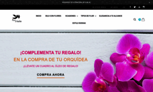 Floreriadelvalle.com thumbnail