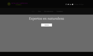 Floreriadetallesycaprichos.com.mx thumbnail