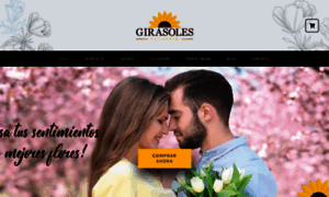 Florerialosgirasoles.ec thumbnail