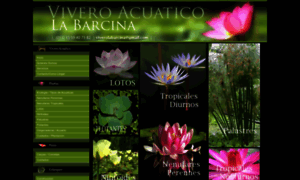 Floresacuaticas.com.ar thumbnail