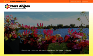 Floresangles.com thumbnail