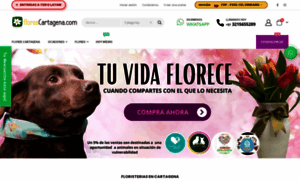 Florescartagena.com thumbnail