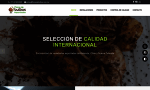 Floresdebulbos.com.mx thumbnail