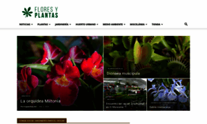 Floresyplantas.net thumbnail