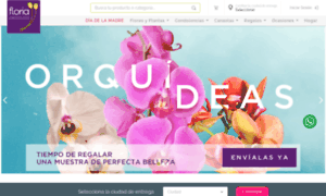 Floria.co thumbnail