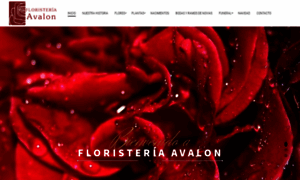 Floristeriaavalon.com thumbnail