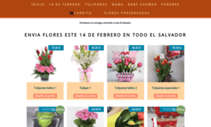 Floristeriabugambilias.com thumbnail