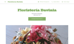 Floristeriadaviniaelpalmar.negocio.site thumbnail