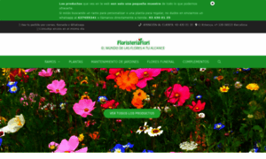 Floristeriafiori.com thumbnail