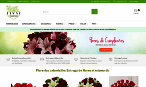 Floristeriajivyi.cl thumbnail