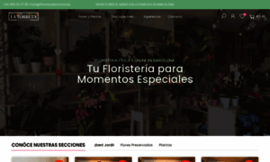 Floristerialatorreta.es thumbnail