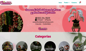 Floristeriamotivos.com thumbnail