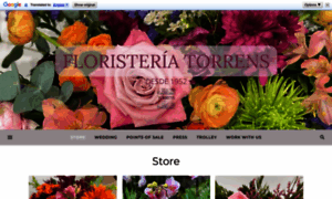 Floristeriatorrens.com thumbnail