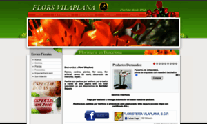 Floristeriavilaplana.com thumbnail