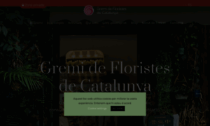 Floristes.cat thumbnail