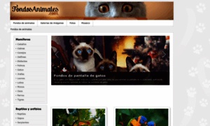 Fondosanimales.com thumbnail