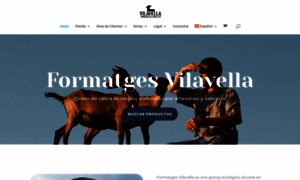Formatgesvilavella.com thumbnail