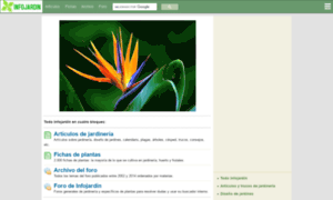 Foroarchivo.infojardin.com thumbnail